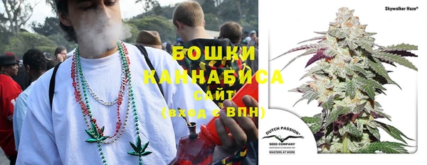 трава Арсеньев