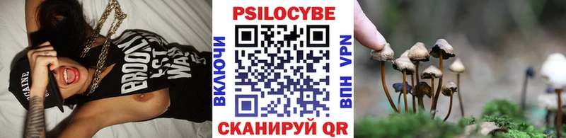 мега зеркало  купить   Павловский Посад  Галлюциногенные грибы Cubensis 